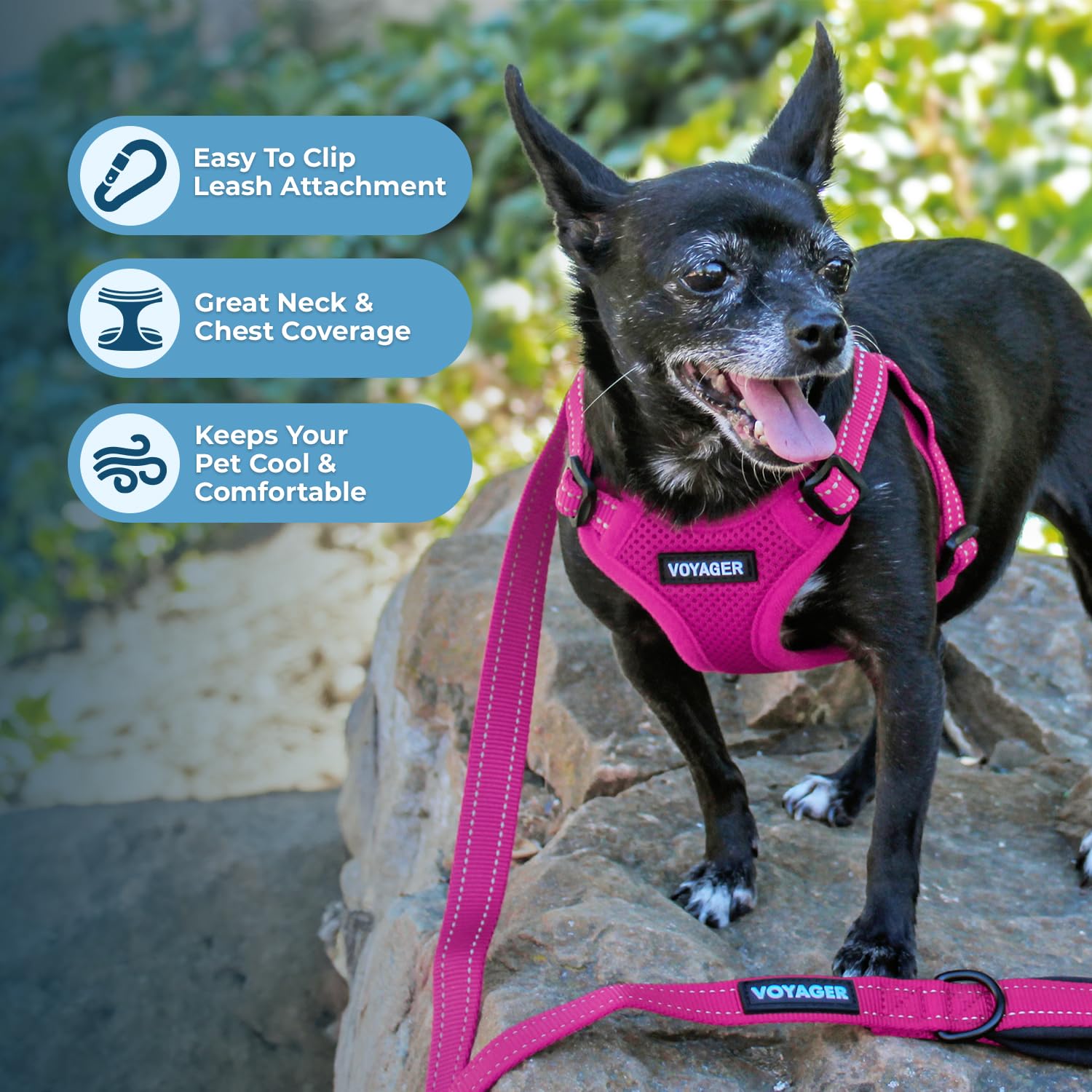 Foto 3 pulgar | Chaleco Para Perros Best Pet Supplies Voyager, Color Fucsia, Talla S - Venta Internacional.