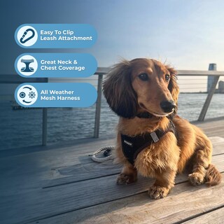 Foto 5 | Arnés Para Perros Voyager Step-in Air Para Todo Tipo De Clima Para Mascotas S/m - Venta Internacional.