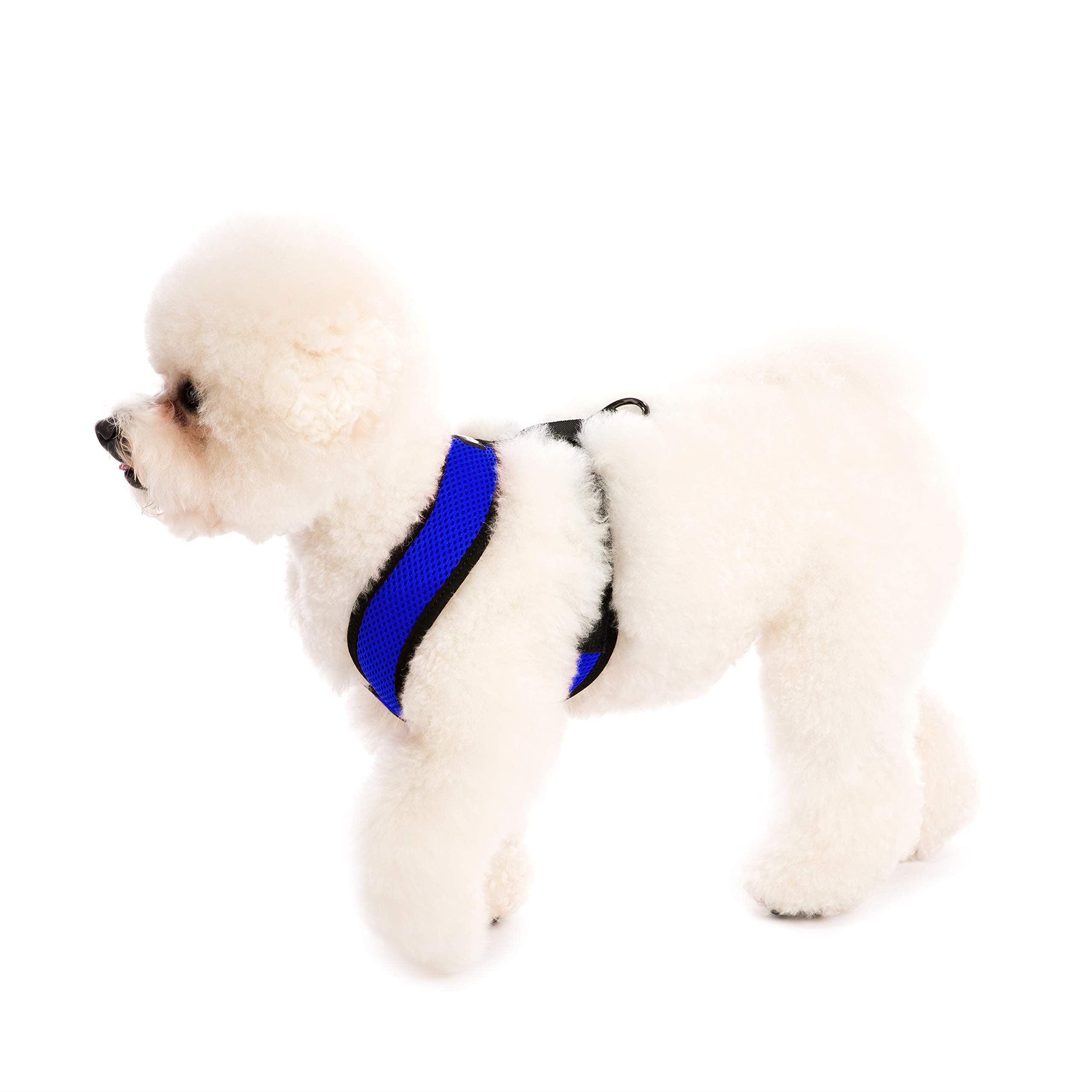Foto 4 pulgar | Arnés Para Perros Gooby Comfort X Head En Azul Para Perros Medianos - Venta Internacional.