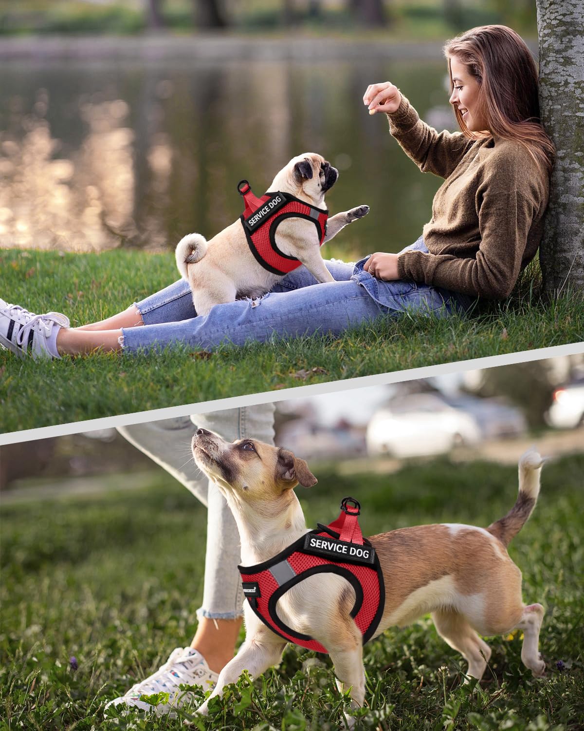 Foto 6 pulgar | Chaleco Ligero Para Perros De Servicio Fayogoo Para Razas Pequeñas - Venta Internacional.