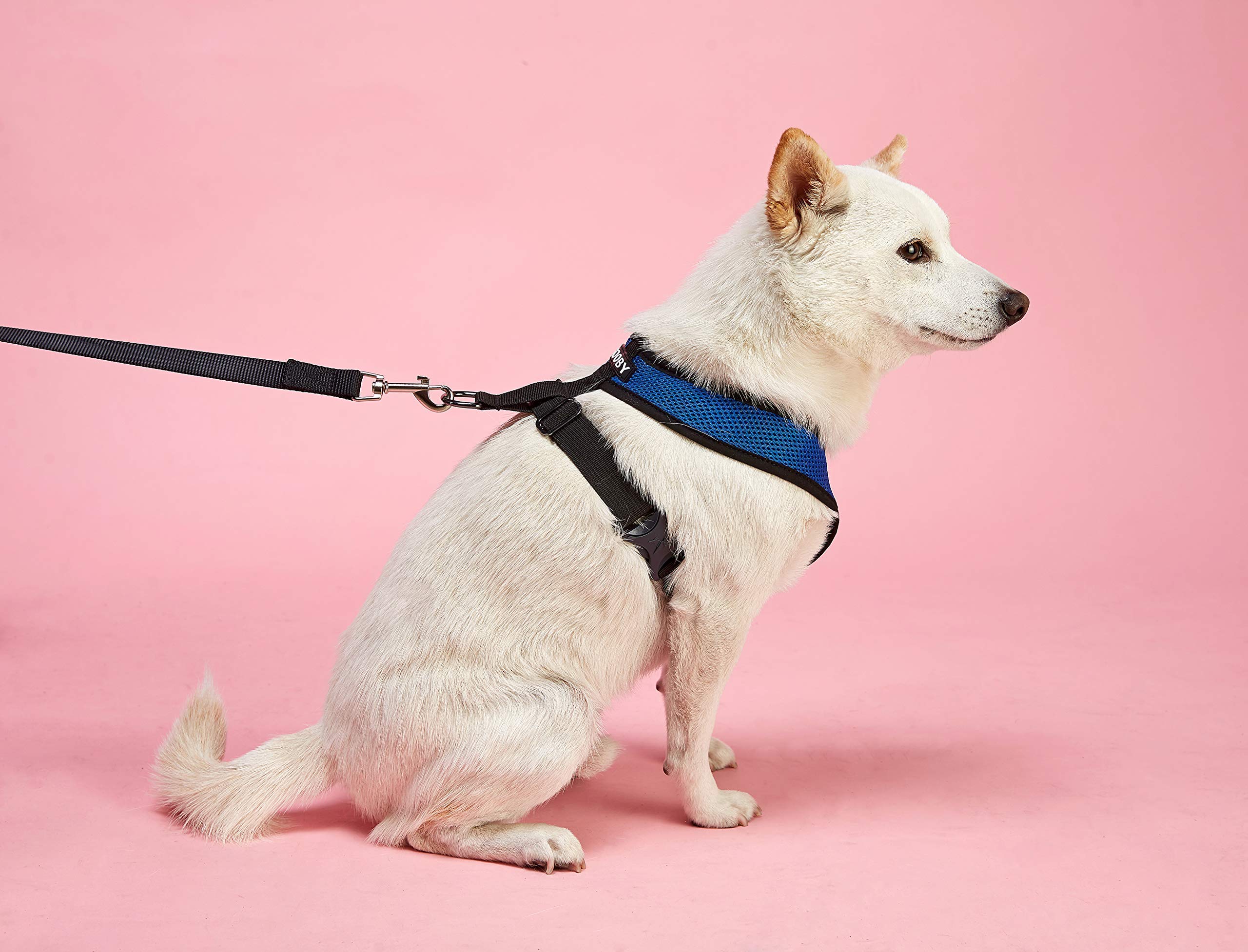 Foto 7 | Arnés Para Perros Gooby Comfort X Head-in Choke Free, Rosa, Pequeño - Venta Internacional.