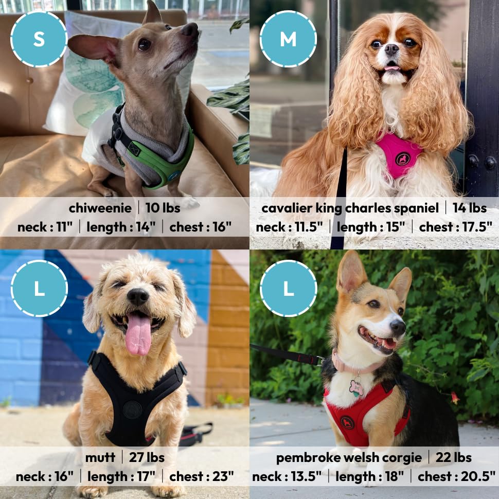 Foto 5 | Arnés Para Perros Gooby Escape Free Sport Rosa Para Perros Pequeños - Venta Internacional.