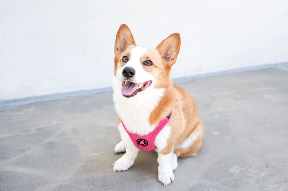 Foto 6 | Arnés Para Perros Gooby Escape Free Sport Rosa Para Perros Pequeños - Venta Internacional.