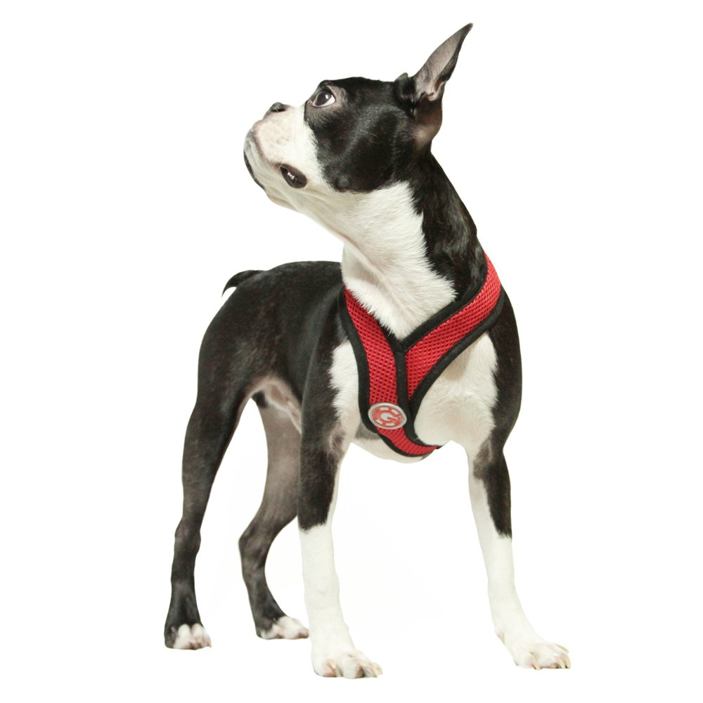 Foto 8 pulgar | Arnés Para Perros Gooby Comfort X Head En Rojo Para Perros Medianos - Venta Internacional.