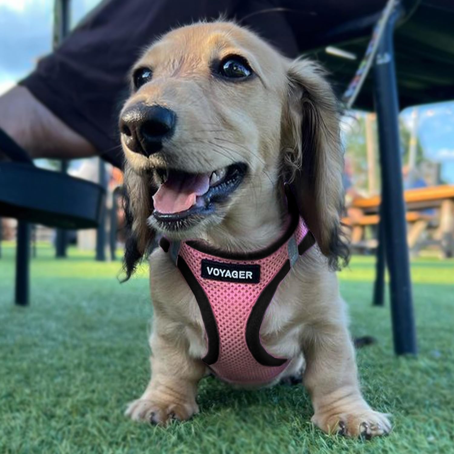 Foto 7 | Arnés Para Perros Voyager Step-in Air, Malla Para Todo Tipo De Clima, Rosa Y Negro, M - Venta Internacional.