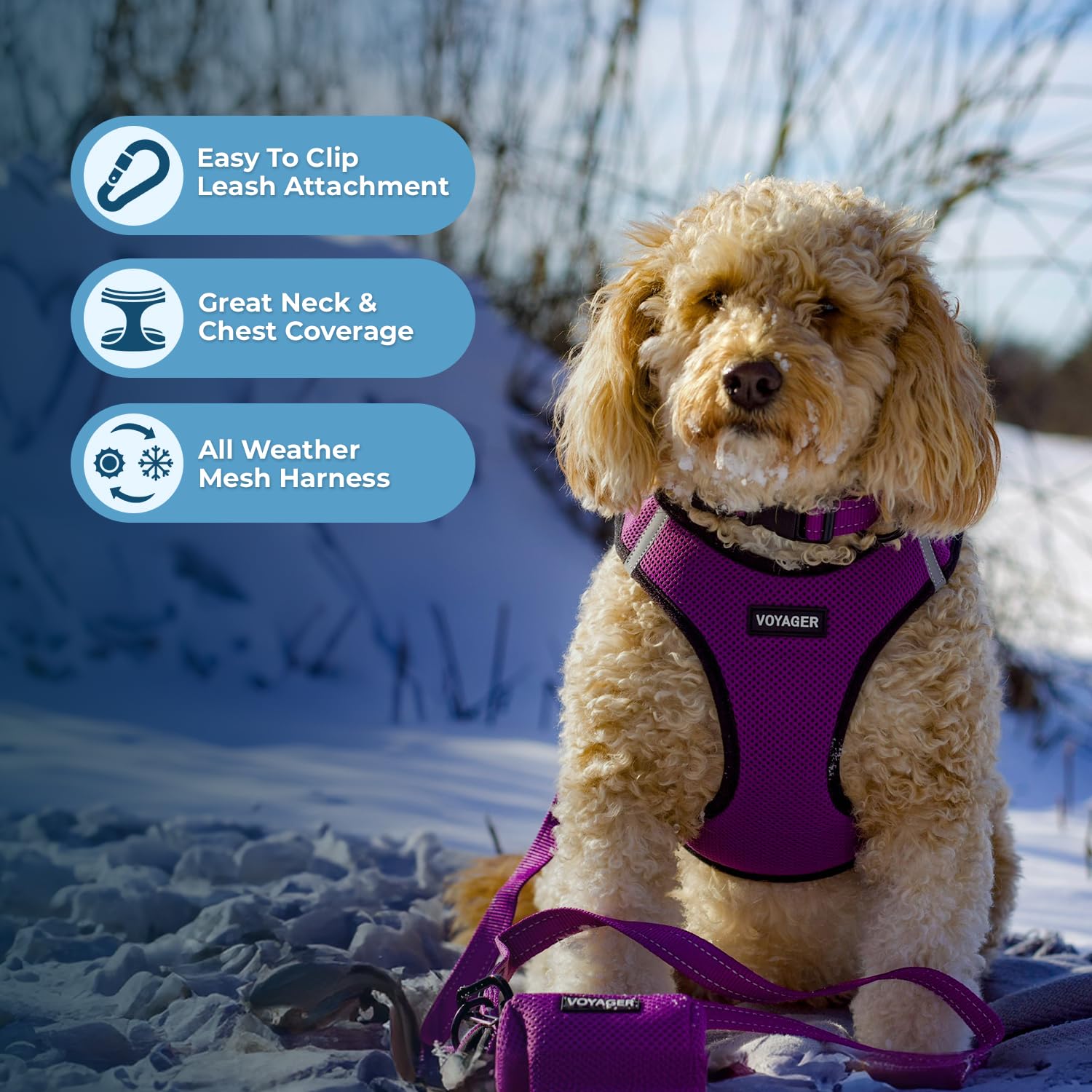 Foto 6 pulgar | Arnés Para Perros Voyager Step-in Air All Weather Mesh Purple S - Venta Internacional.