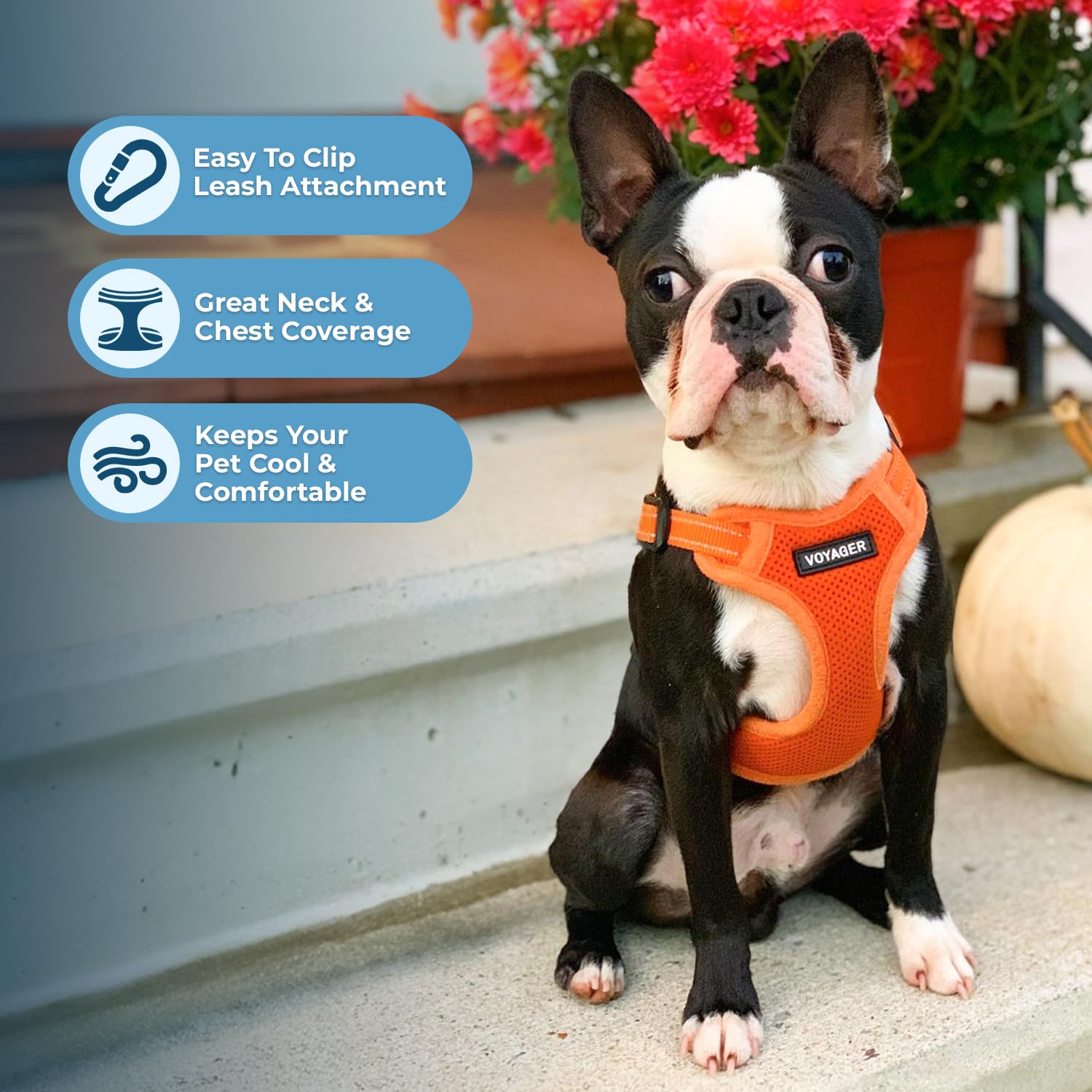 Foto 6 pulgar | Chaleco Para Perros Best Pet Supplies Voyager Orange M - Venta Internacional.
