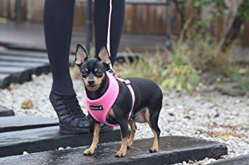 Foto 4 pulgar | Arnés Para Perros Puppia Soft, No Se Ahoga, De Malla Transpirable, Rosa, Pequeño - Venta Internacional.