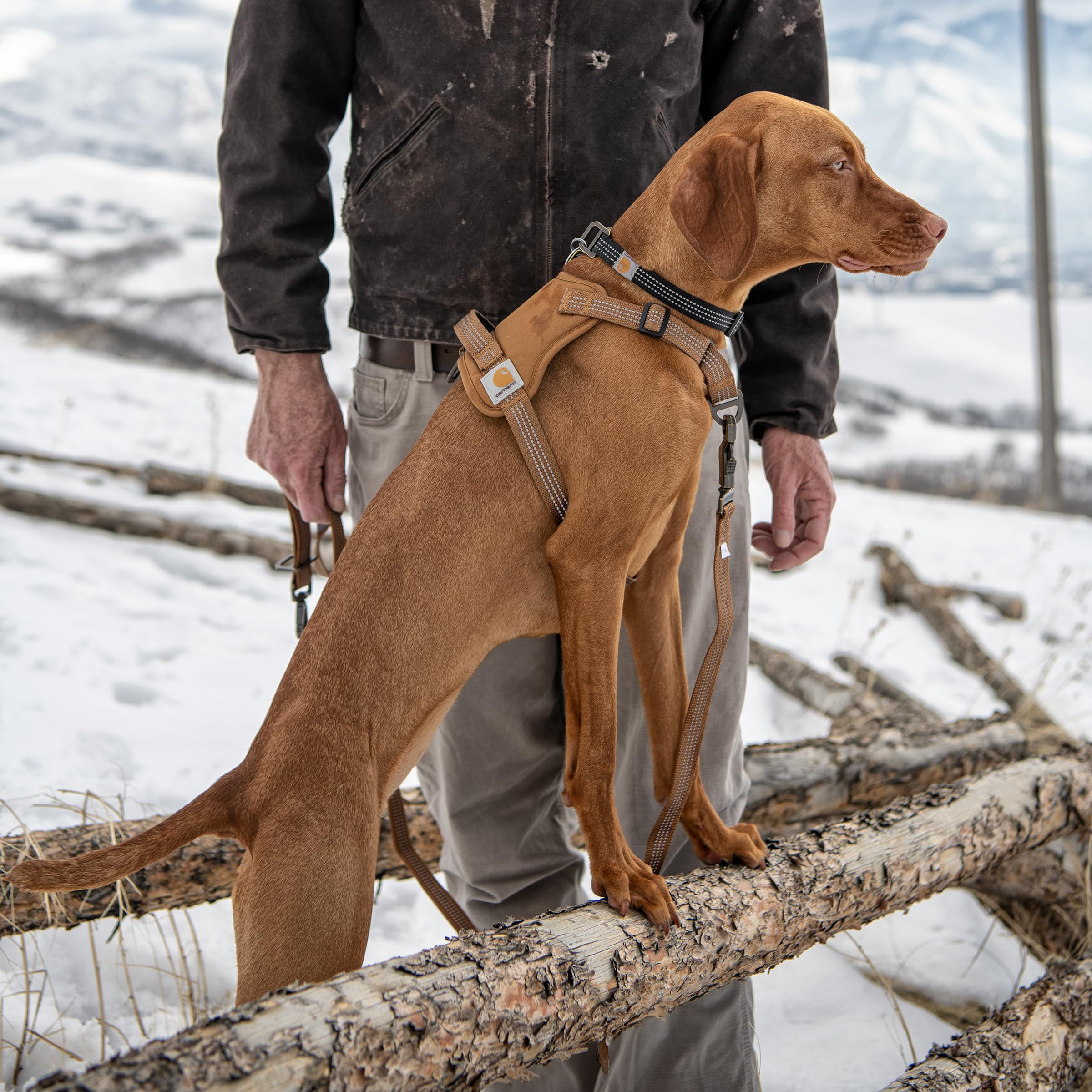 Foto 5 | Arnés Para Perros Carhartt De Nailon Con Forma De Pato Sin Tirón, Xl, Marrón - Venta Internacional.