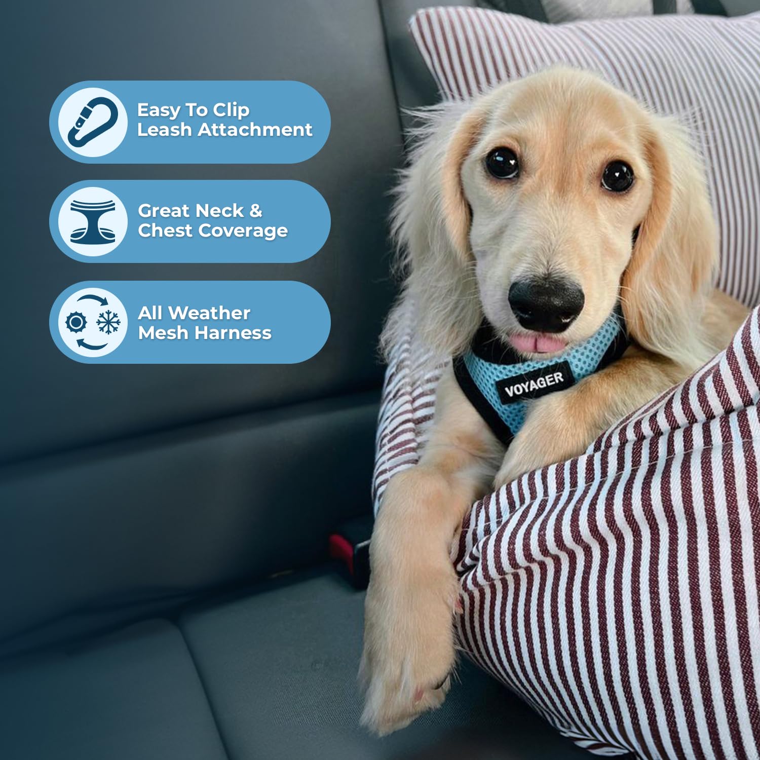 Foto 6 pulgar | Arnés Para Perros Voyager Step-in Air All Weather Mesh L Baby Blue - Venta Internacional.