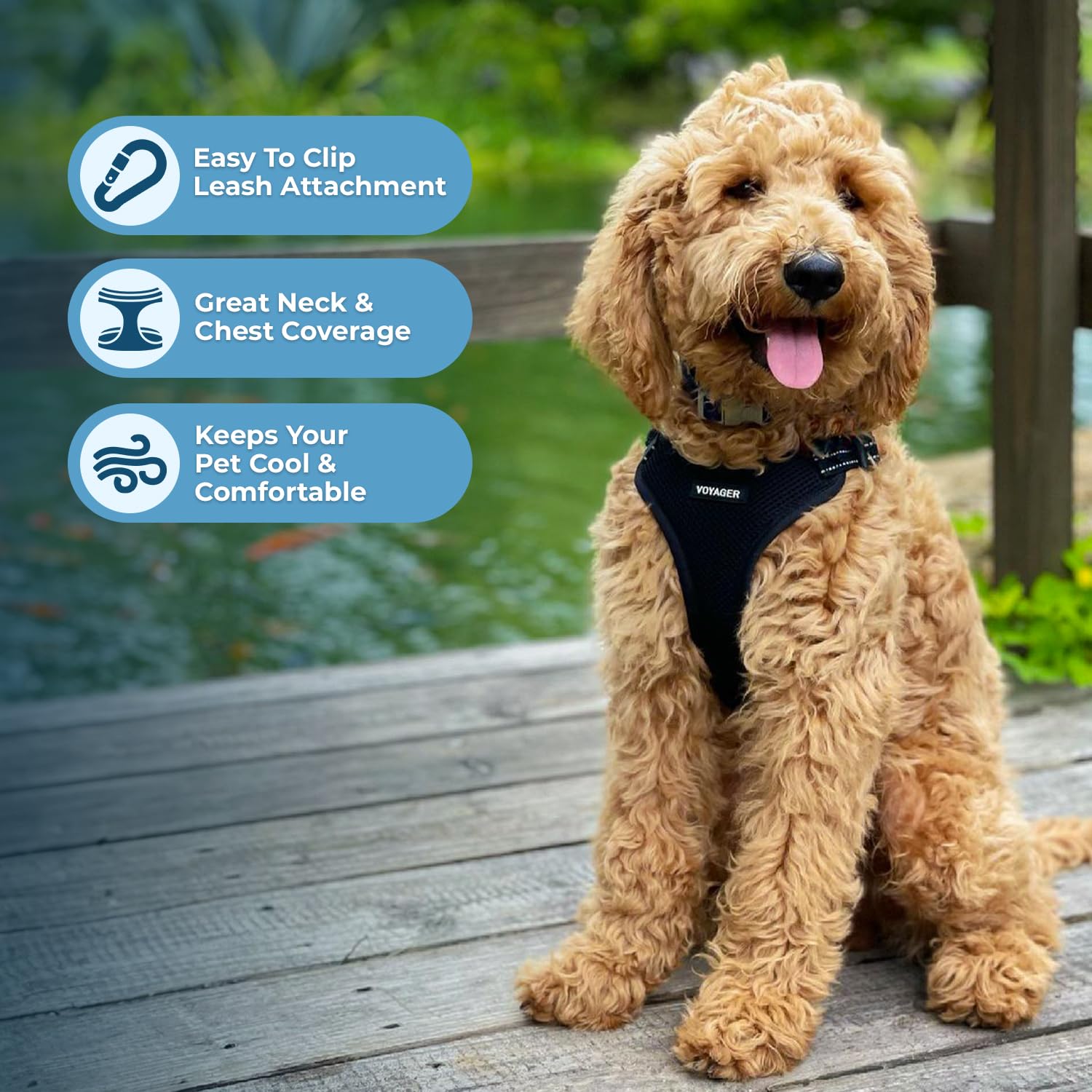 Foto 6 pulgar | Chaleco Para Perros Best Pet Supplies Voyager Black S - Venta Internacional.