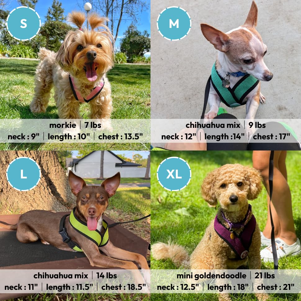 Foto 6 pulgar | Arnés Para Perros Gooby Comfort X Head En Negro Para Perros Grandes - Venta Internacional.