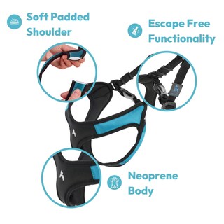 Foto 3 | Arnés Para Perros Gooby Escape Free Easy Fit Azul Para Perros Pequeños - Venta Internacional.