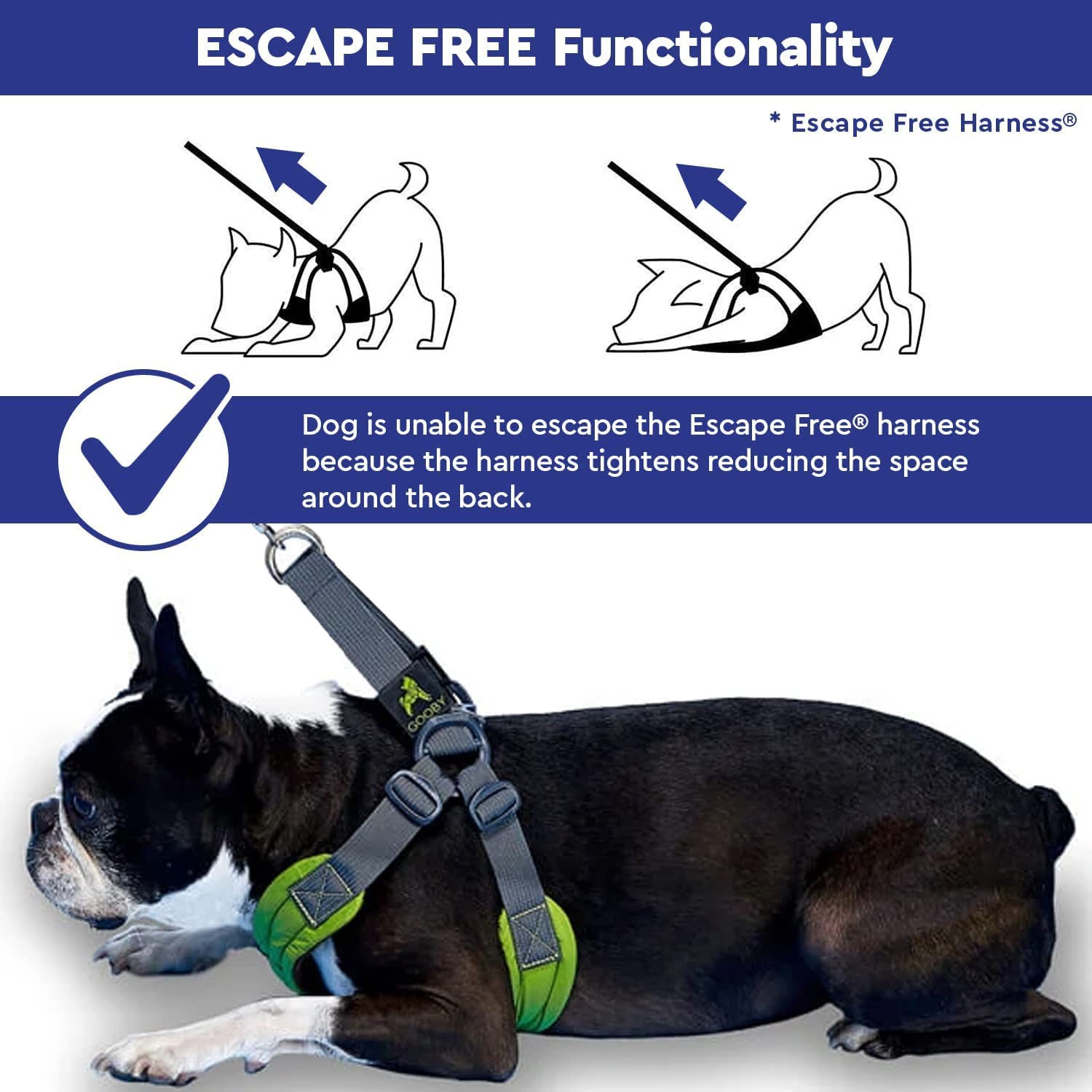Foto 8 pulgar | Arnés Para Perros Gooby Escape Free Easy Fit Azul Para Perros Pequeños - Venta Internacional.