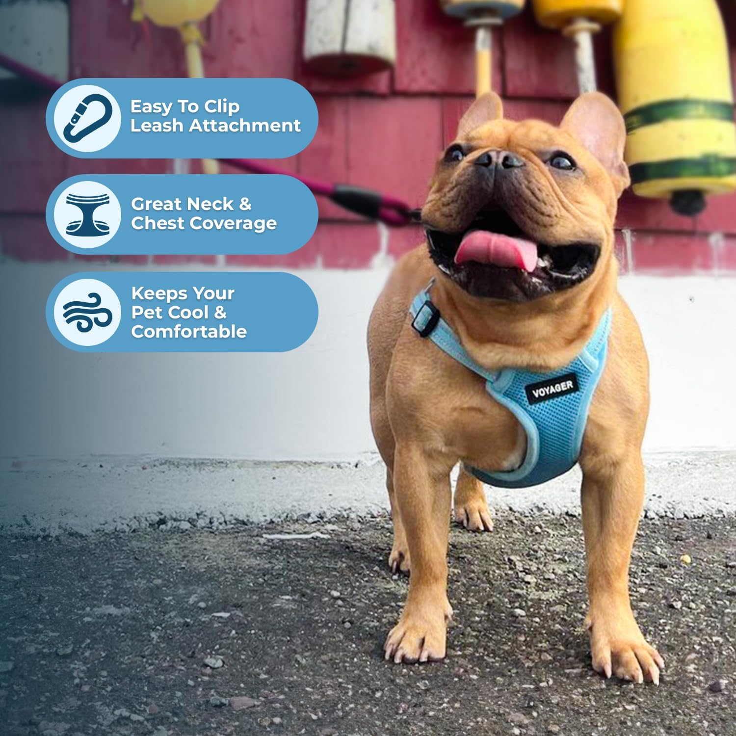 Foto 6 pulgar | Chaleco Para Perros Best Pet Supplies Voyager Baby Blue M - Venta Internacional.