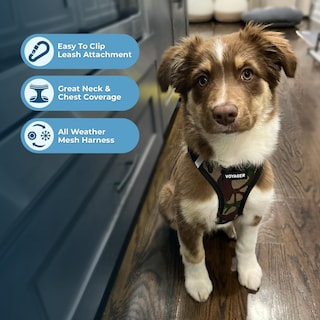 Foto 5 | Arnés Para Perros Voyager Step-in Air, Malla Reflectante Para Todo Clima - Venta Internacional.