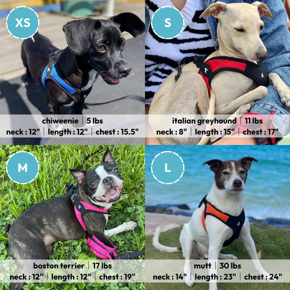 Foto 6 | Arnés Gooby Turquesa X-small Easy Fit Para Perros Pequeños - Venta Internacional.