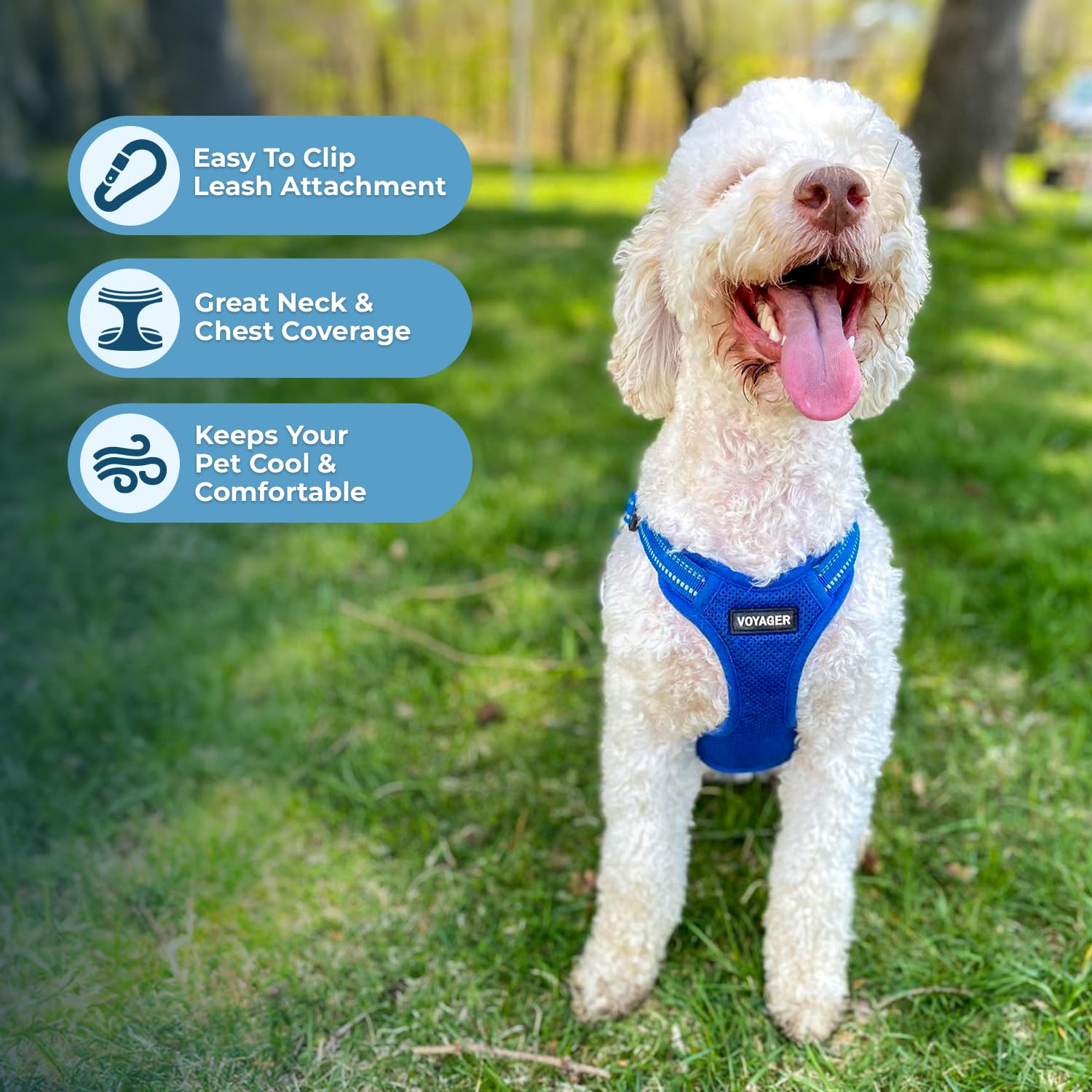 Foto 6 pulgar | Chaleco Para Perros Best Pet Supplies Voyager Royal Blue M - Venta Internacional.