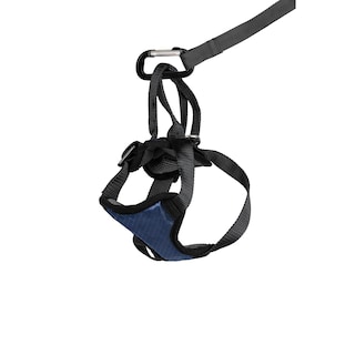 Foto 1 | Arnés De Seguridad Para Perros Petsafe Happy Ride Para Coches De Tamaño Pequeño - Venta Internacional.