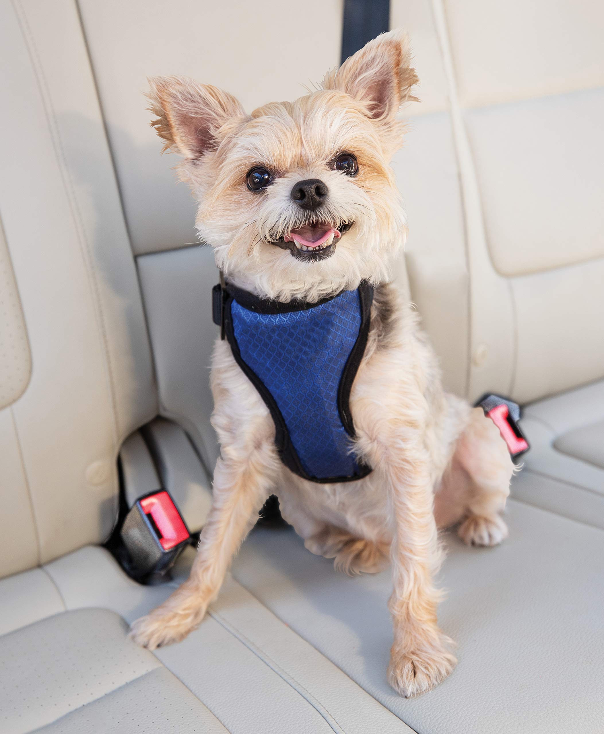 Foto 2 | Arnés De Seguridad Para Perros Petsafe Happy Ride Para Coches De Tamaño Pequeño - Venta Internacional.