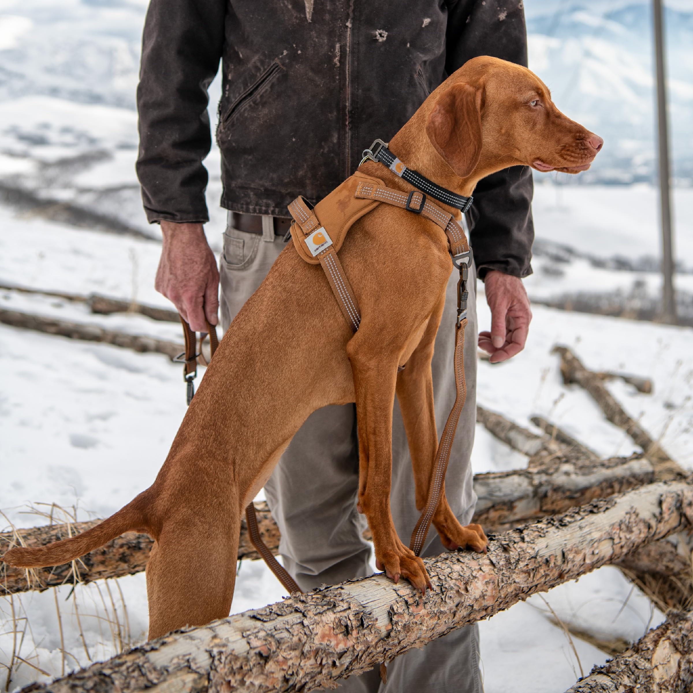 Foto 5 | Arnés Para Perros Carhartt Gear P0000486 De Nailon Con Forma De Pato, Sin Tirón - Venta Internacional.