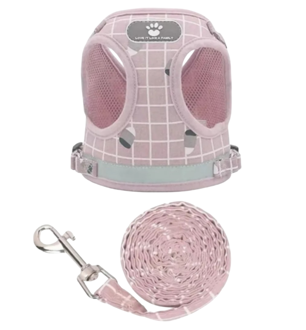 Foto 1 | Arnés Ajustable Xtellar Premium Para Perros Y Gatos Con Correa Duradera Y Reflectante