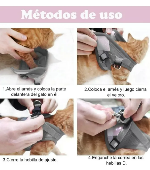 Foto 3 | Arnés Ajustable Xtellar Premium Para Perros Y Gatos Con Correa Duradera Y Reflectante