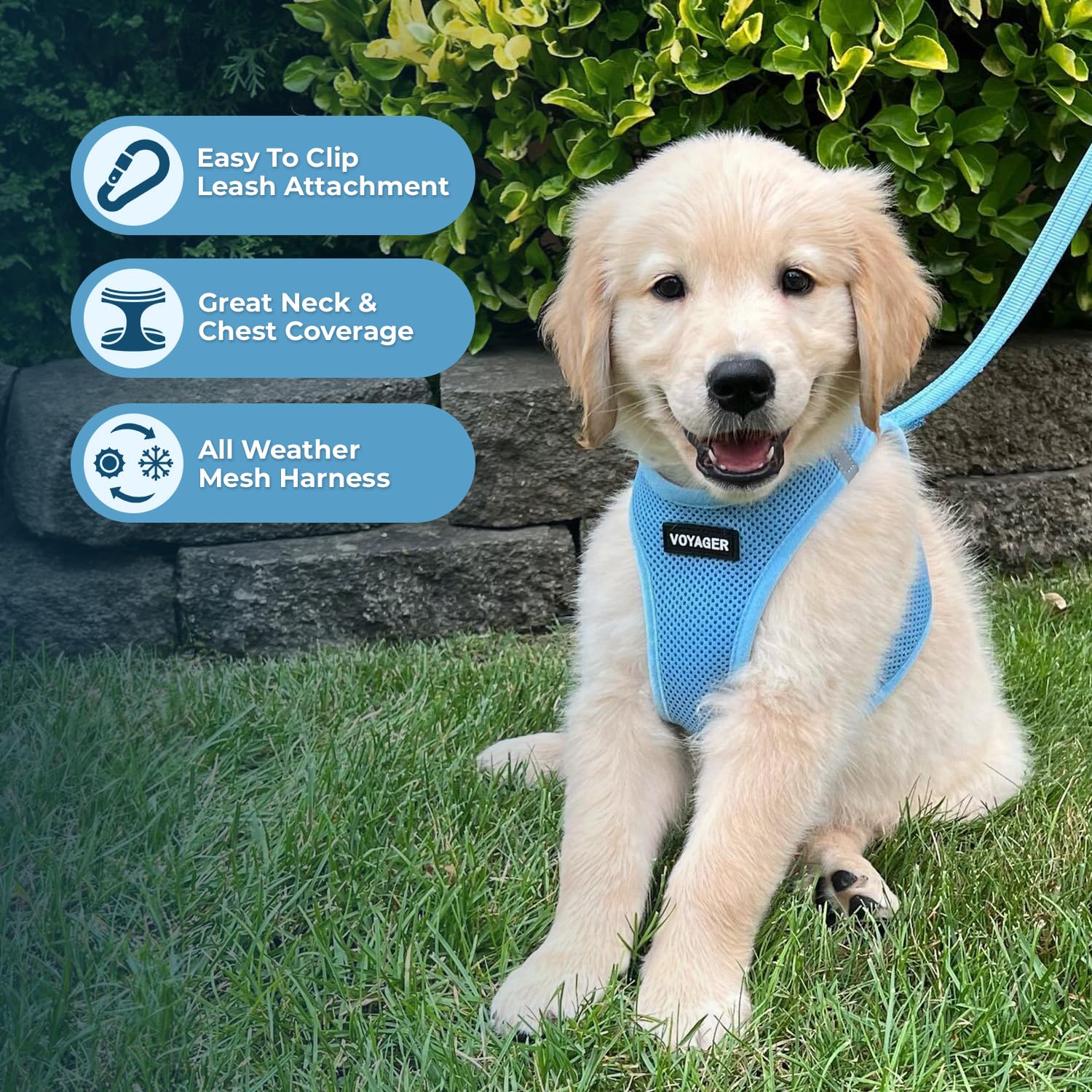 Foto 5 | Combinación De Arnés Y Correa, Los Mejores Suministros Para Mascotas Voyager Air M - Venta Internacional.