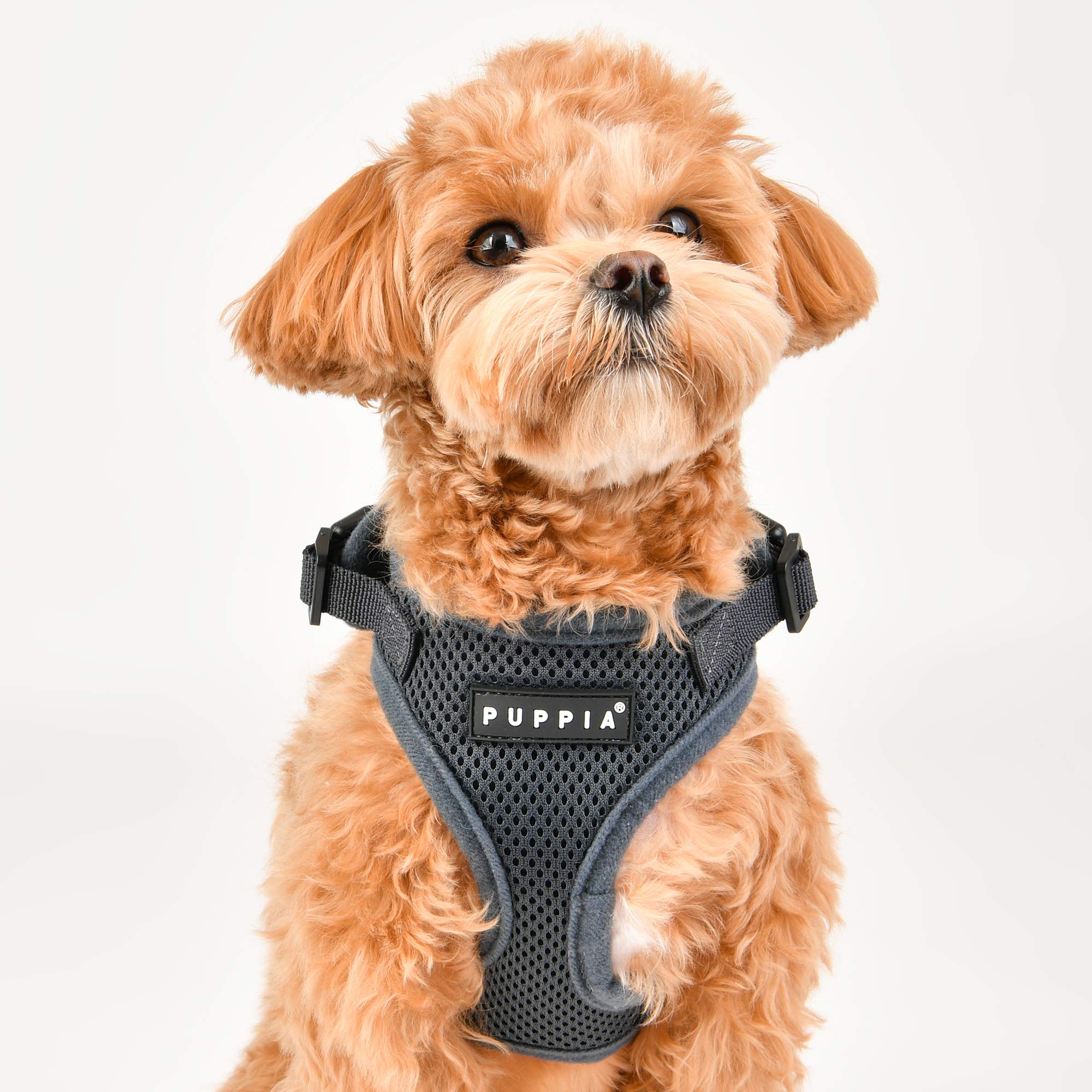 Foto 5 pulgar | Arnés Puppia Ritefit Con Cuello Ajustable Para Perros, Color Negro, Talla M - Venta Internacional.