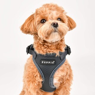 Foto 4 | Arnés Puppia Ritefit Con Cuello Ajustable Para Perros, Color Negro, Talla M - Venta Internacional.