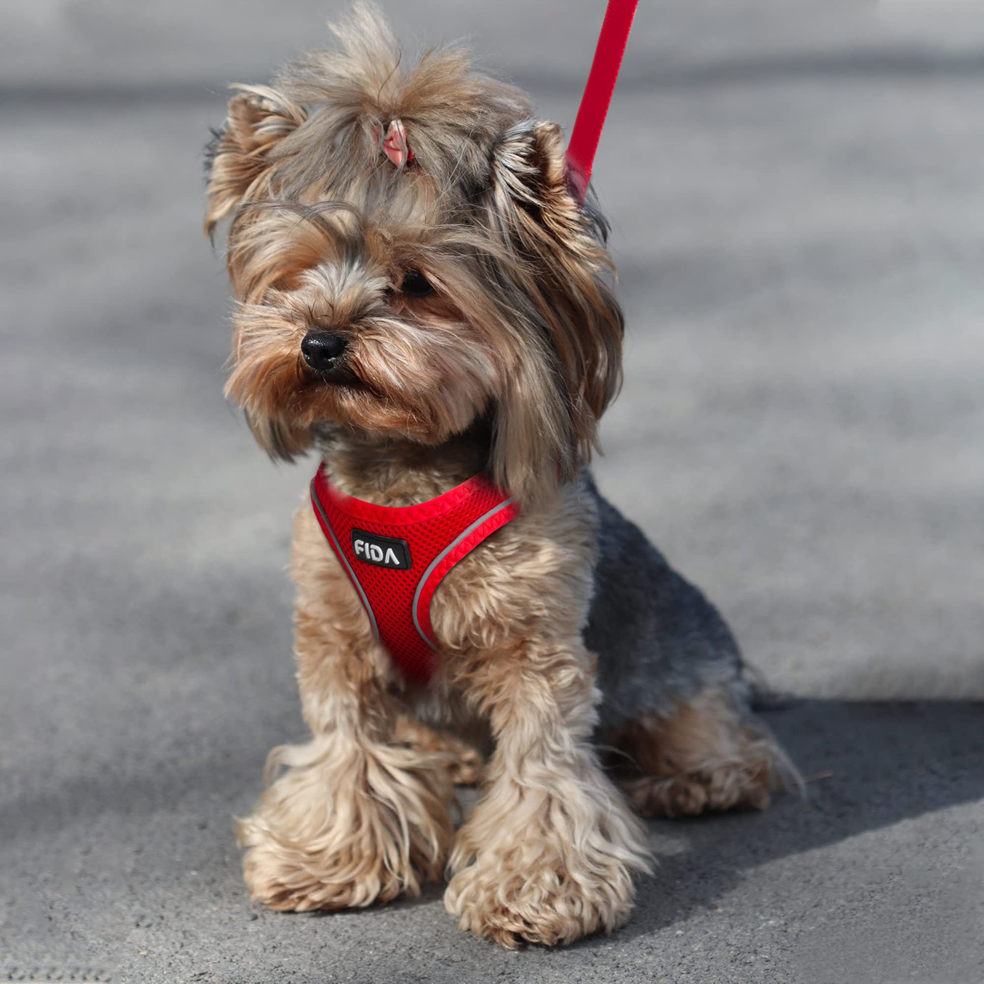 Foto 7 | Arnés Para Perros Fida Comfy Soft Mesh Con Correa Para Perros Pequeños Y Medianos - Venta Internacional.