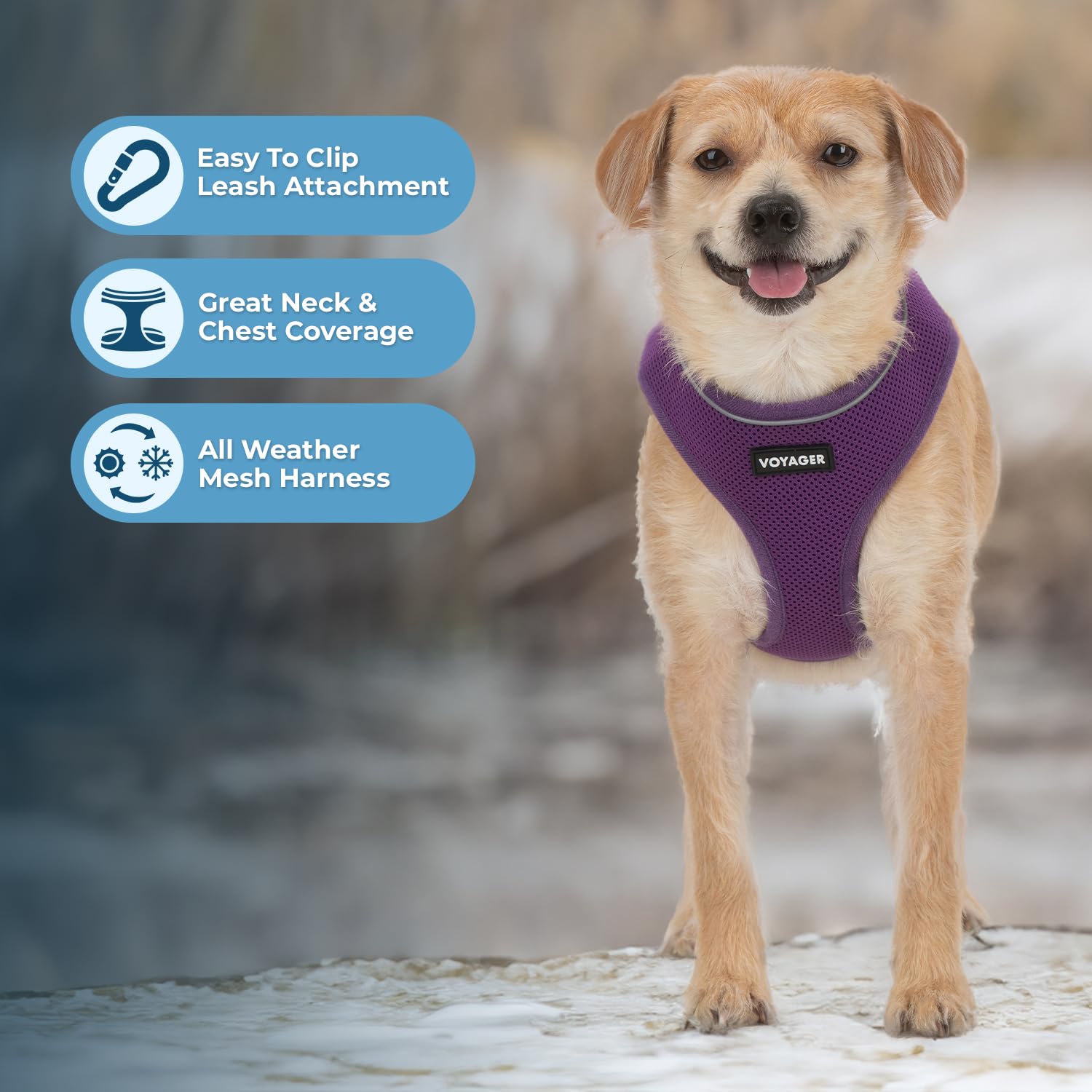 Foto 5 | Arnés Para Perros Voyager Aerolite No Pull Mesh Purple Xs - Venta Internacional.