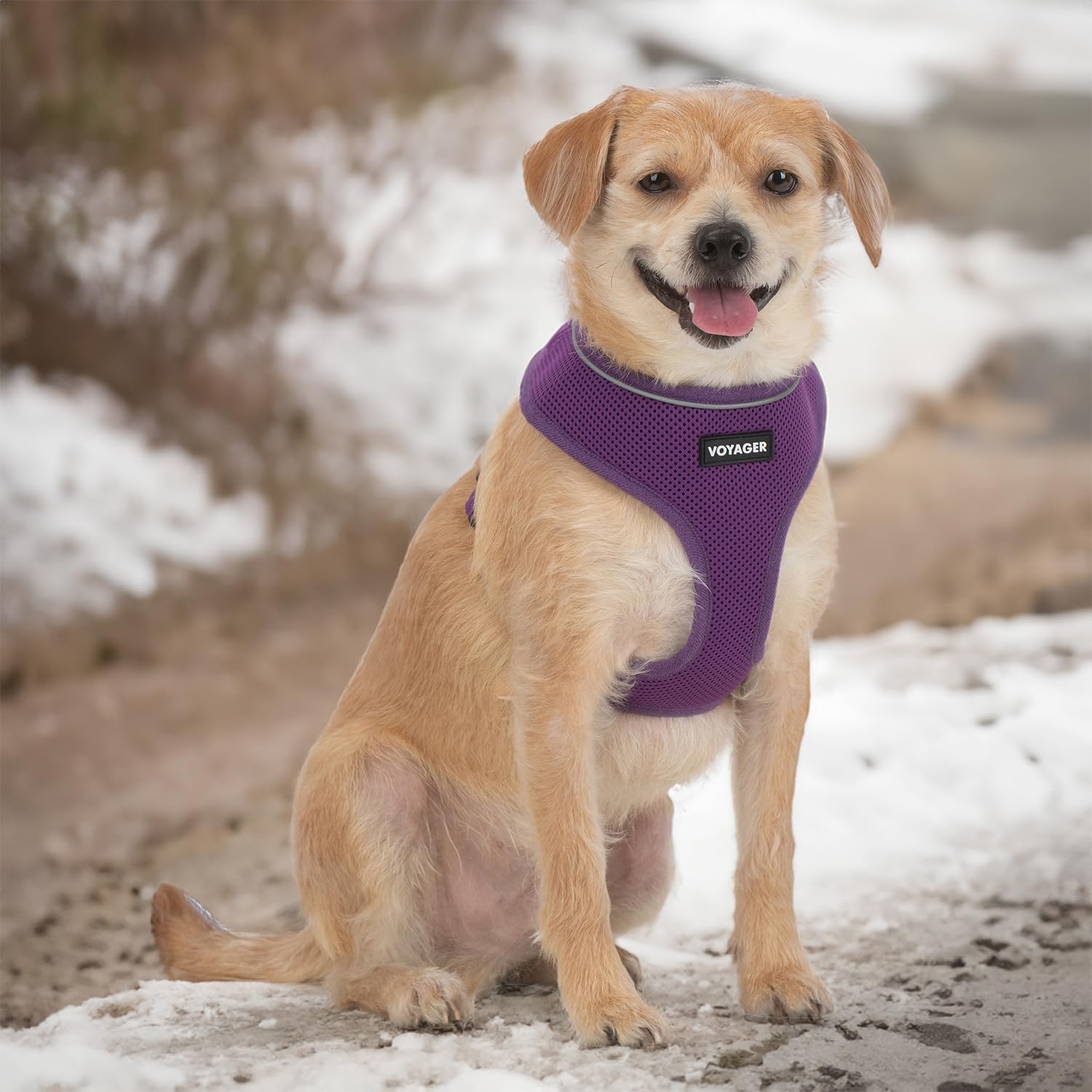 Foto 7 | Arnés Para Perros Voyager Aerolite No Pull Mesh Purple Xs - Venta Internacional.