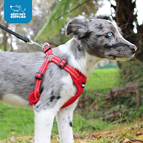 Foto 7 | Arnés Para Perros Best Pet Supplies Voyager Con Rayas Reflectantes - Venta Internacional.