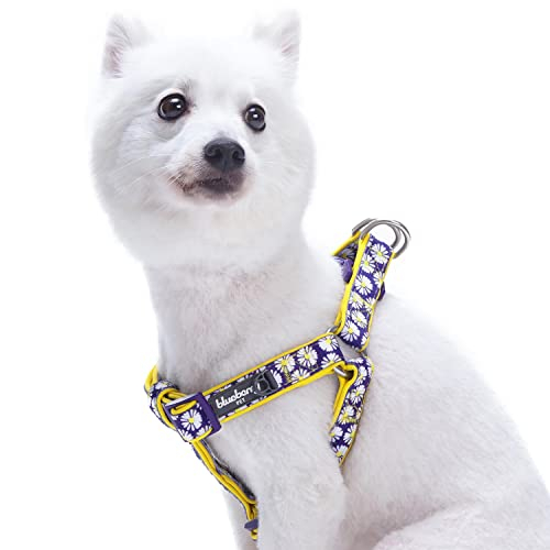 Foto 2 pulgar | Arnés Para Perros Pequeños Con Estampado De Margaritas Con Arándanos Y Mascotas - Venta Internacional.