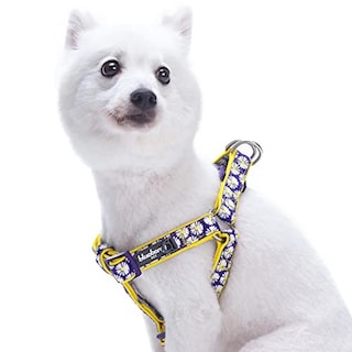Foto 1 | Arnés Para Perros Pequeños Con Estampado De Margaritas Con Arándanos Y Mascotas - Venta Internacional.