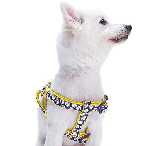 Foto 3 pulgar | Arnés Para Perros Pequeños Con Estampado De Margaritas Con Arándanos Y Mascotas - Venta Internacional.
