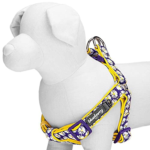 Foto 4 pulgar | Arnés Para Perros Pequeños Con Estampado De Margaritas Con Arándanos Y Mascotas - Venta Internacional.