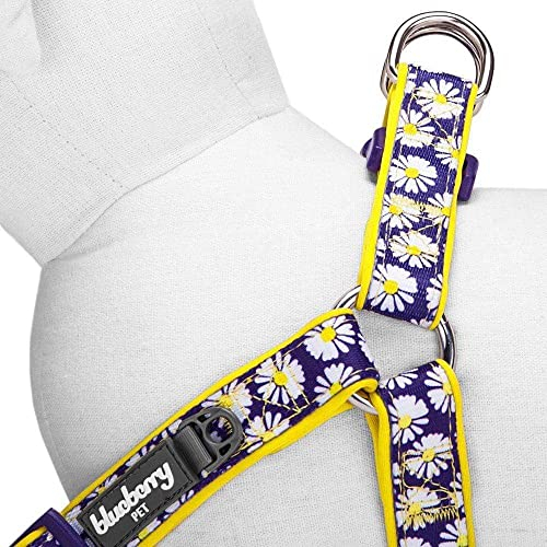 Foto 5 pulgar | Arnés Para Perros Pequeños Con Estampado De Margaritas Con Arándanos Y Mascotas - Venta Internacional.