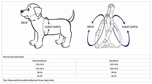 Foto 7 pulgar | Arnés Para Perros Pequeños Con Estampado De Margaritas Con Arándanos Y Mascotas - Venta Internacional.