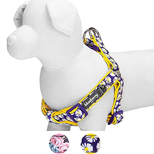 Foto 8 pulgar | Arnés Para Perros Pequeños Con Estampado De Margaritas Con Arándanos Y Mascotas - Venta Internacional.