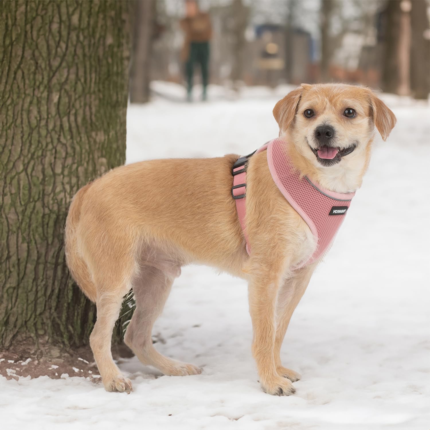 Foto 7 | Arnés Para Perros Voyager Aerolite, Malla Sin Tirones, Rosa, Talla Xs - Venta Internacional.
