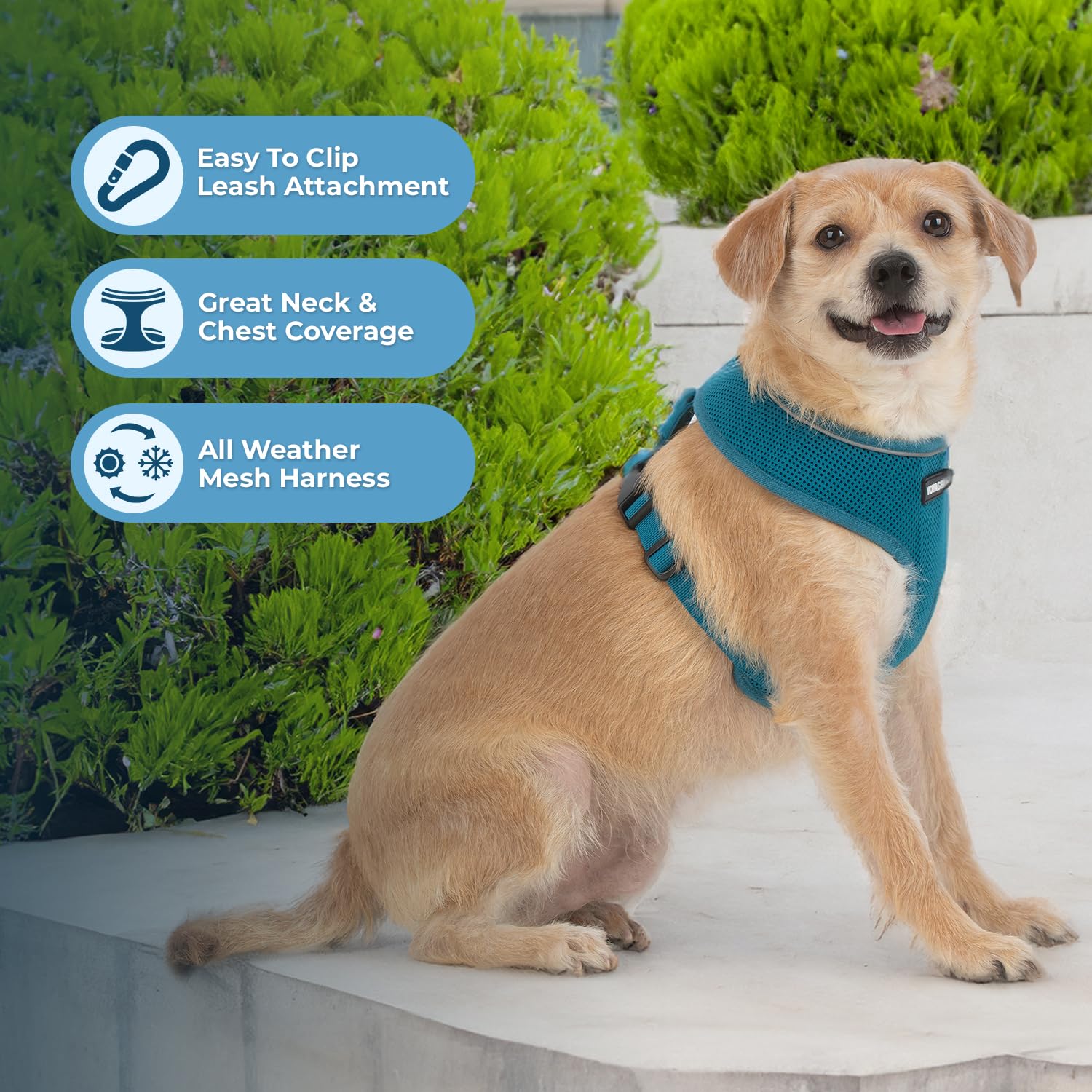 Foto 5 | Arnés Para Perros Voyager Aerolite, Malla Antitracción, Color Turquesa, Talla L - Venta Internacional.