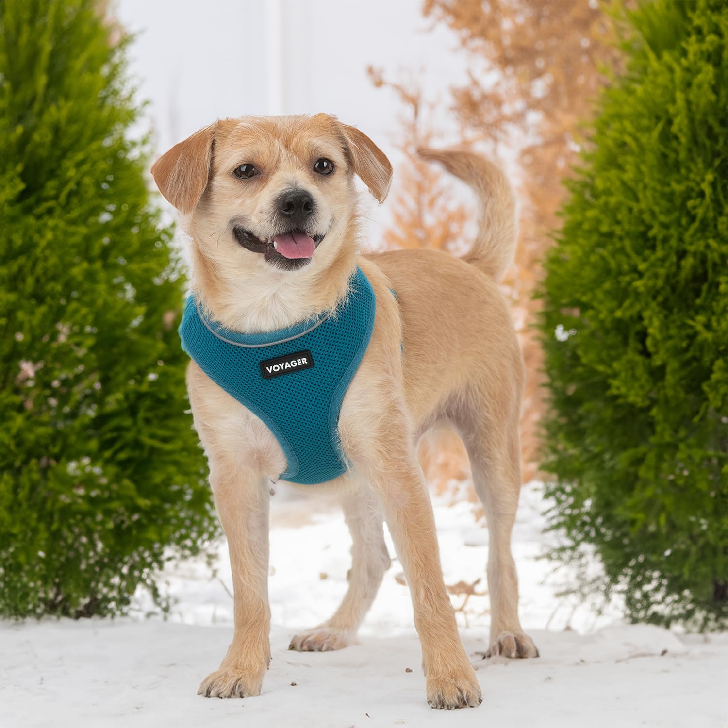 Foto 7 | Arnés Para Perros Voyager Aerolite, Malla Antitracción, Color Turquesa, Talla L - Venta Internacional.