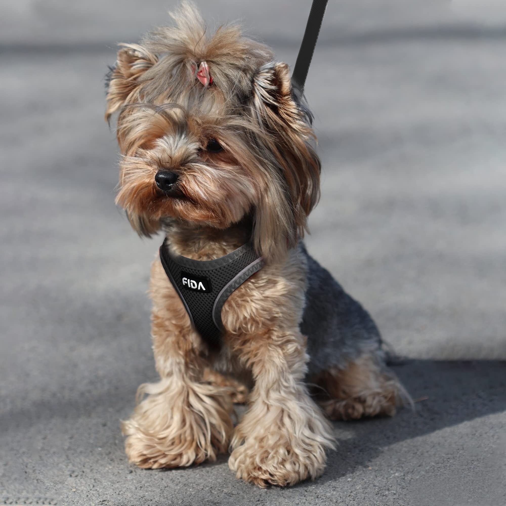 Foto 7 | Arnés Para Mascotas Con Correa Fida Comfy Para Perro Y Gato Xxs Negro - Venta Internacional.