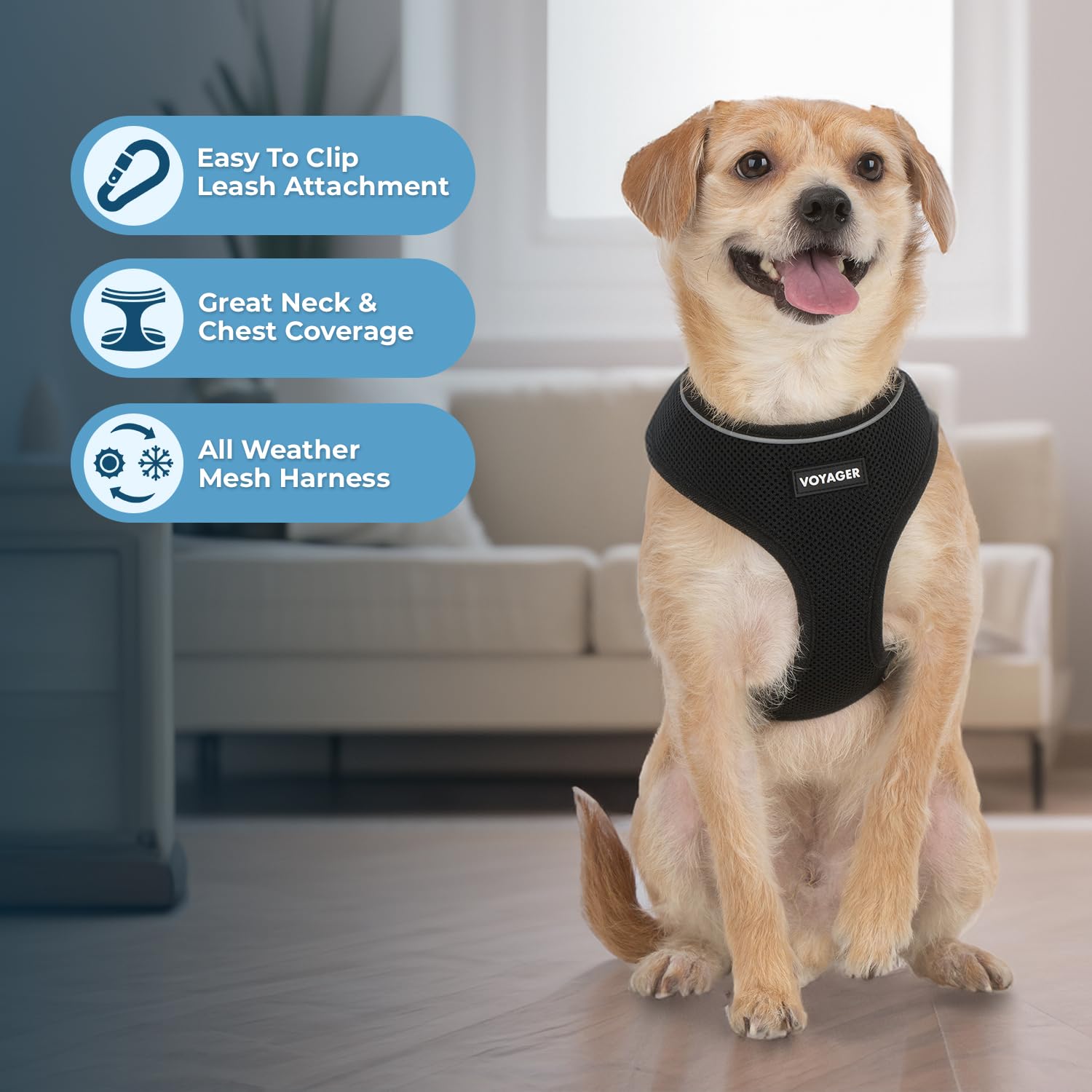 Foto 6 pulgar | Arnés Para Perros Voyager Aerolite Sin Tracción, Malla Negra, Talla S - Venta Internacional.