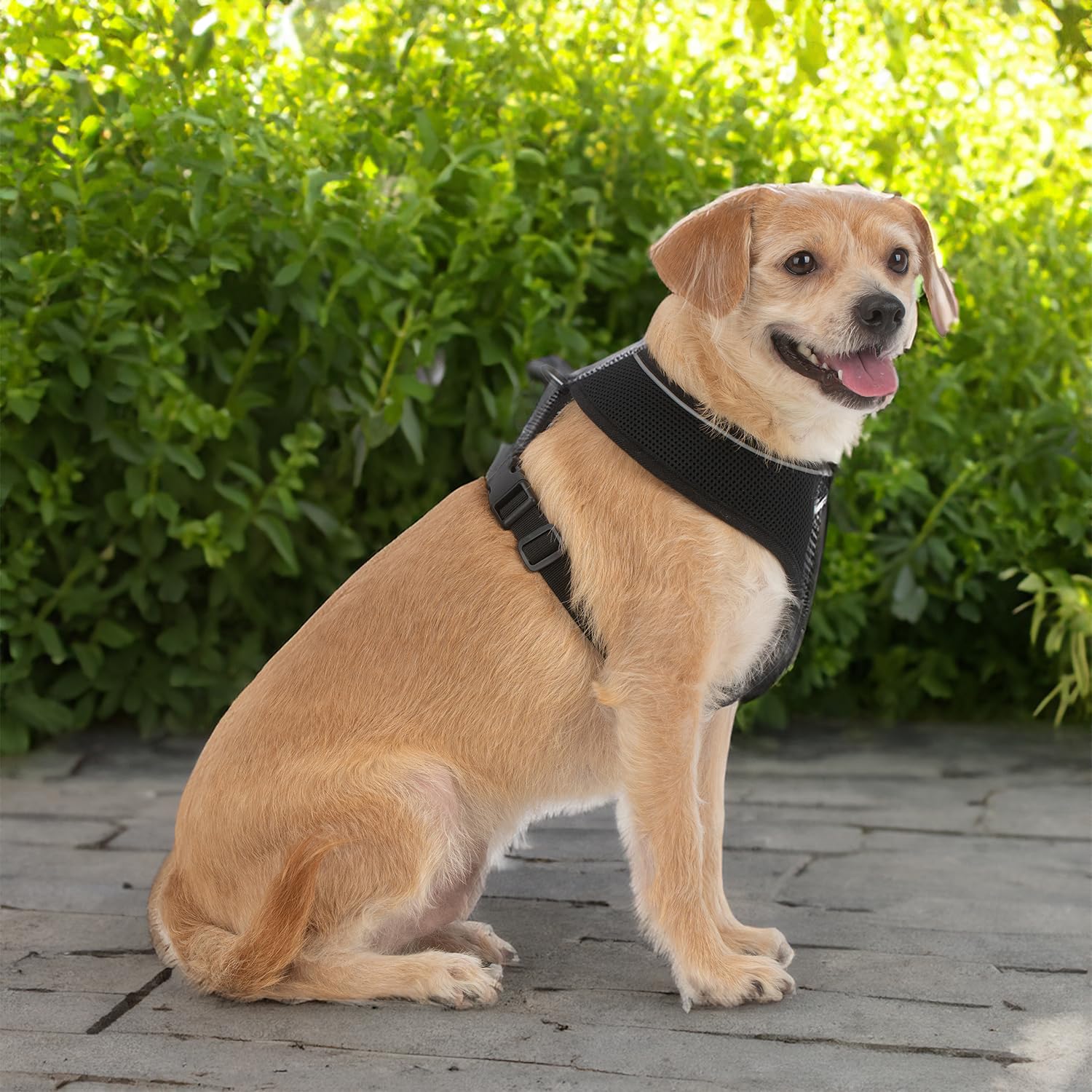 Foto 8 pulgar | Arnés Para Perros Voyager Aerolite Sin Tracción, Malla Negra, Talla S - Venta Internacional.