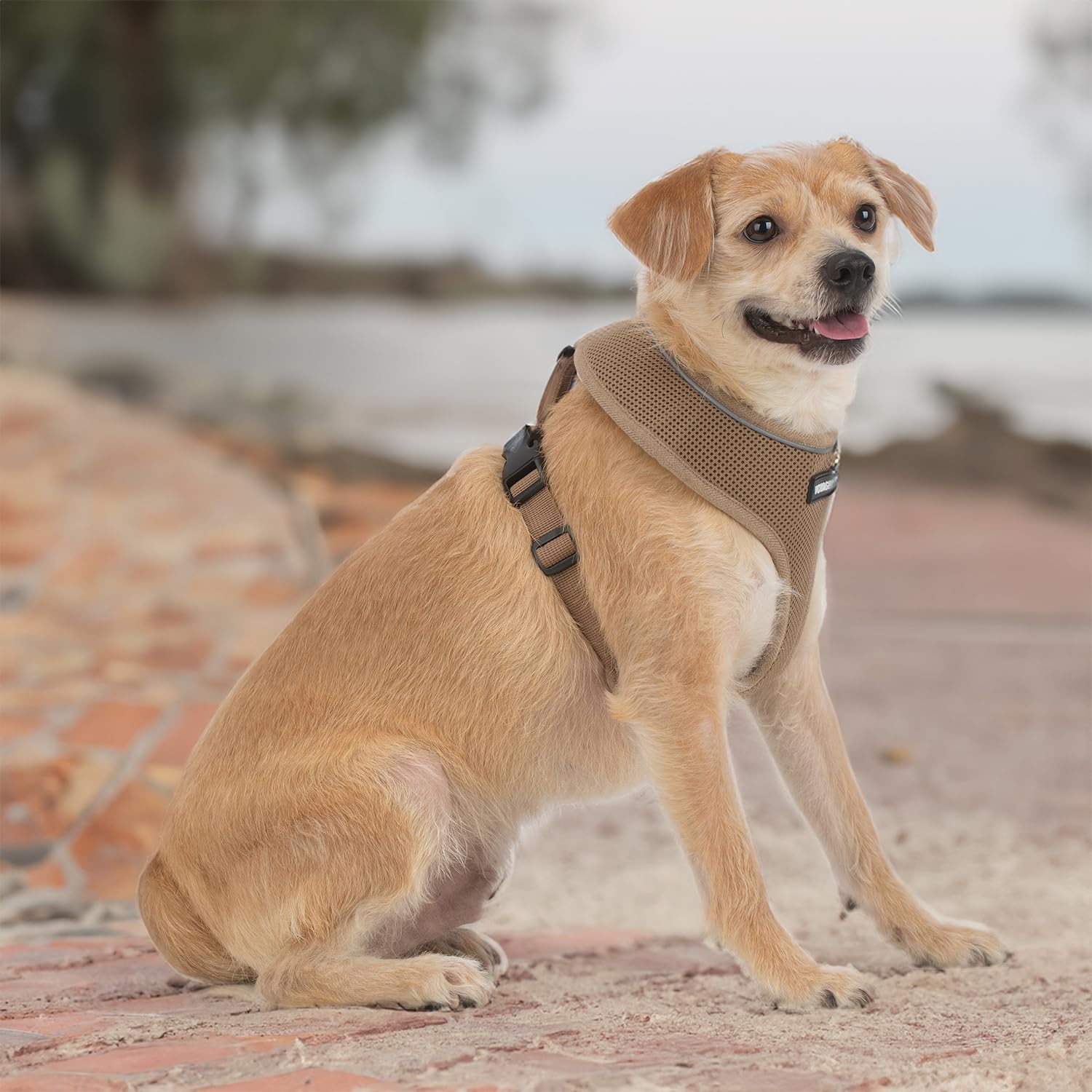 Foto 7 | Arnés Para Perros Voyager Aerolite, Malla Sin Tirones, Color Beige, Talla L - Venta Internacional.
