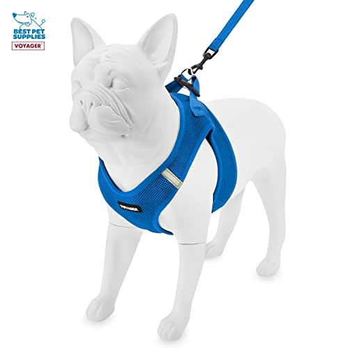 Foto 5 pulgar | Combinación De Arnés Y Correa, Los Mejores Suministros Para Mascotas Voyager Air Mesh - Venta Internacional.