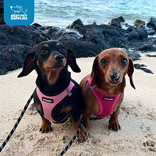 Foto 7 pulgar | Arnés Para Perros Best Pet Supplies Voyager Step-in Air, Color Rosa Y Negro - Venta Internacional.